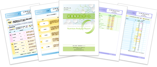 栄養解析レポート