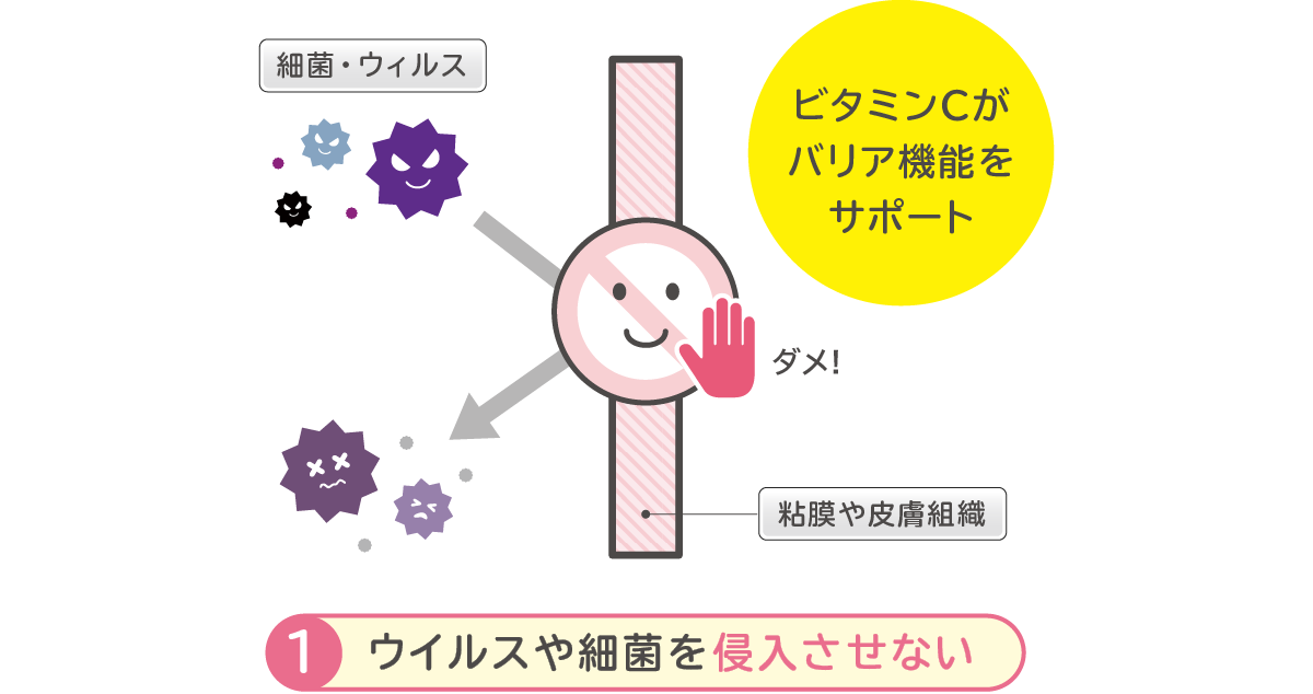 ウイルスや細菌を侵入させない