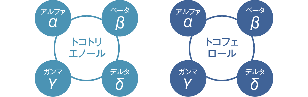 ビタミンEの8種類の形