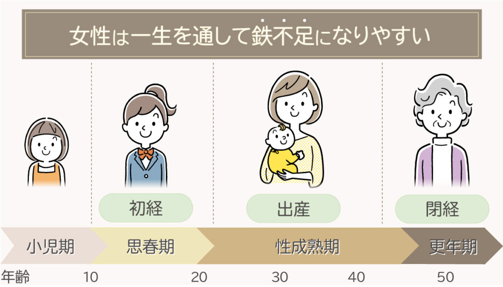 女性の体と鉄不足の関係