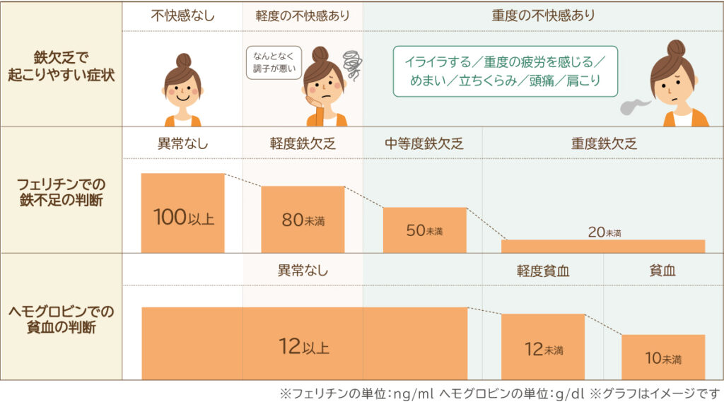 フェリチン（貯蔵鉄）